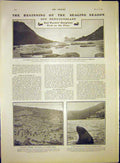 Original Old Antique Print Sealing Newfoundland Seal Hunt Alaskan Sea Lion 1903