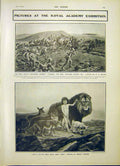 Original Old Antique Print South Lancashire Boer Little Child Lead Barker 1903