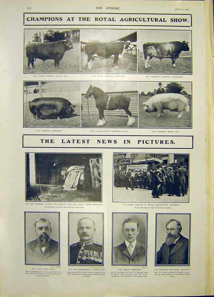 Original Old Antique Print Royal Agricultural Show Winners News Pictures 1903