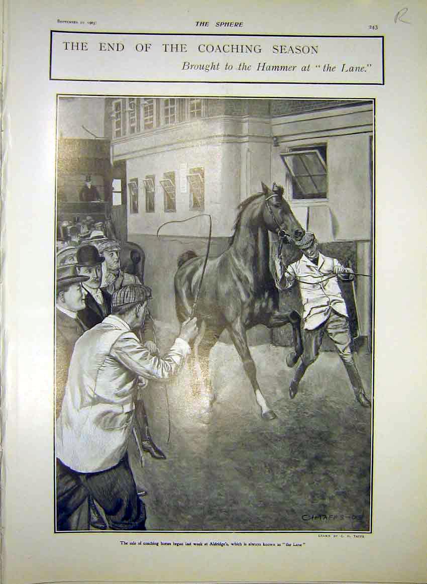 Old Antique Print Horse Sale Lane Adridge Convent Mar Saba Jerusalem 1903 20th