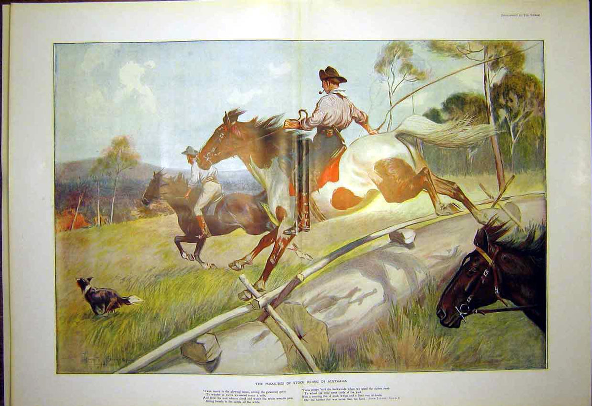 Original Old Antique Print Stock Riding Australia 1903 Colour Color 20th