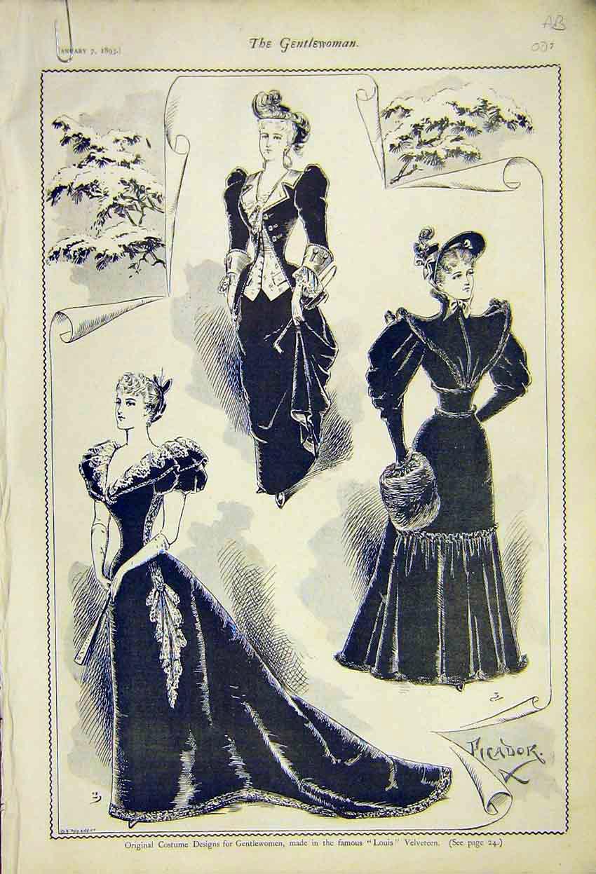 Original Old Antique Print Costume Designes Gowns Ladies Fashion Velveteen 1892