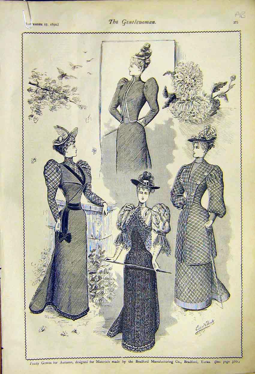 Original Old Antique Print Autumn Gowns Ladies Fashion Bradford Nicholson 1892