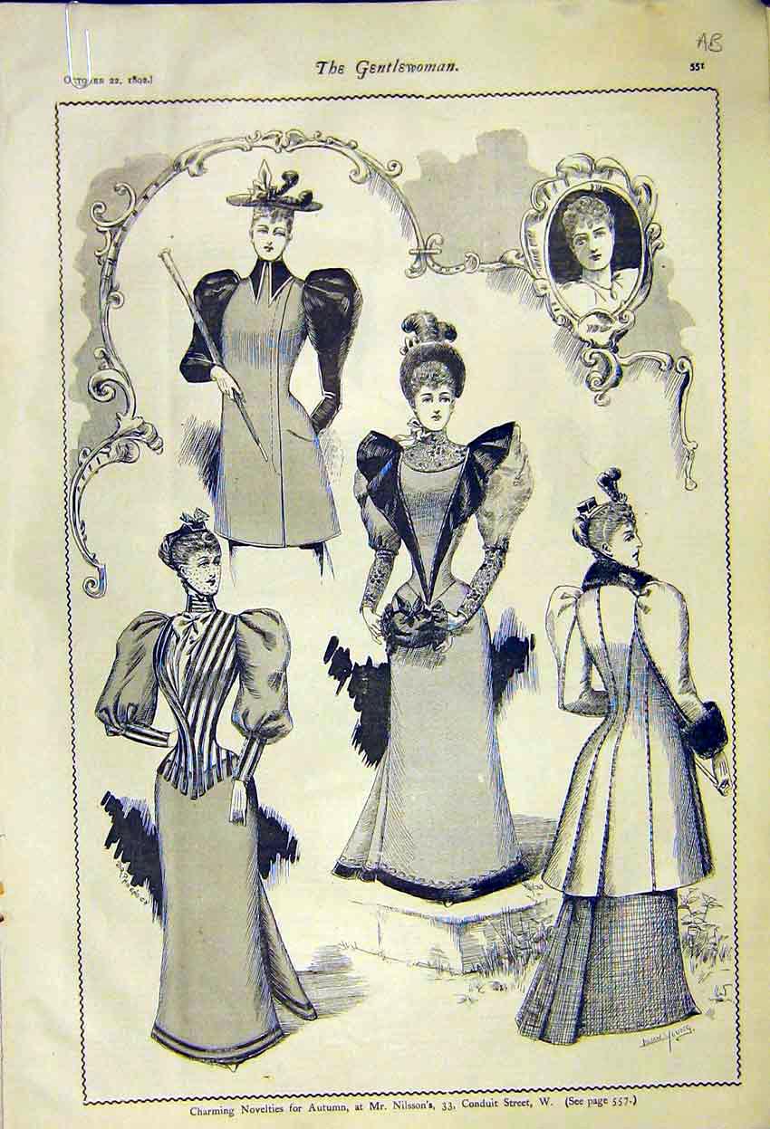 Original Old Antique Print Novelties Autumn Ladies Fashion Gowns Robinsons 1892