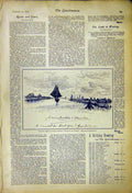 Original Old Antique Print Etching Contesse De Flandre Queen Court News 1892