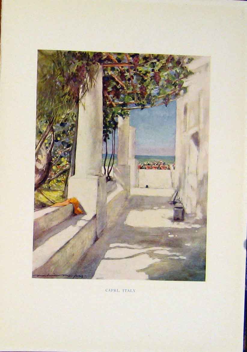 Original Old Vintage Print Capri Italy C1919 Fine Art Color 20th Century