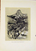 Original Old Antique Print Hill Country Blowmfontein Sketch Drawing Africa