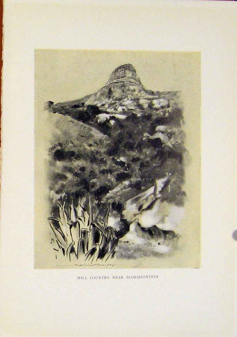 Original Old Antique Print Hill Country Blowmfontein Sketch Drawing Africa