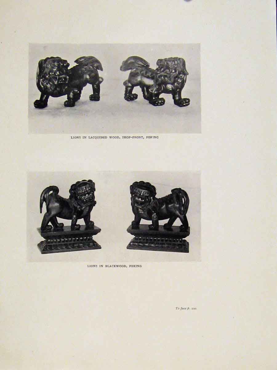 Original Old Vintage Print Lion Lacquered Wood Peking Blackwood C1950 20th