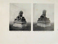 Original Old Vintage Print Tibetan Lion Italian Legation Fine Art C1950 20th