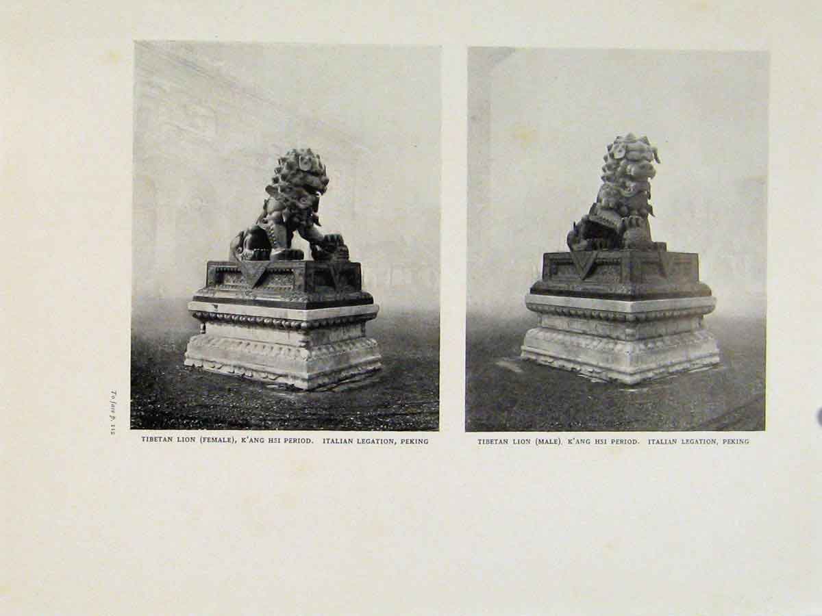 Original Old Vintage Print Tibetan Lion Italian Legation Fine Art C1950 20th