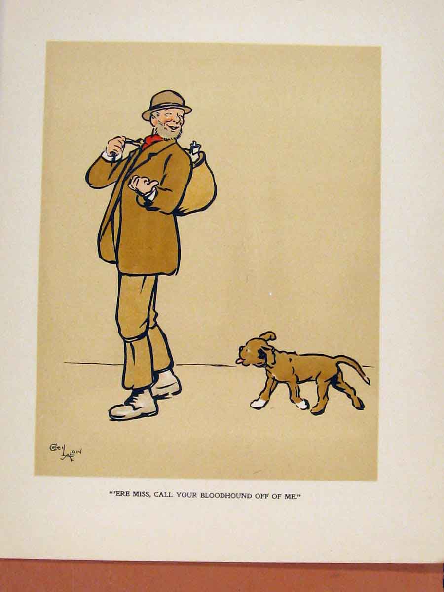 Original Old Antique Print Puppy Color Fine Art Dog Hound Pet