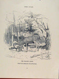 Old Antique Print Stag Fraying Stock Horns Velvet Lionel Edwards Fine Art