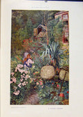 Original Old Antique Print Sussex Garden Color Flowers Fine Art C1906 20th