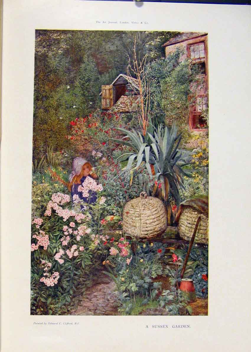 Original Old Antique Print Sussex Garden Color Flowers Fine Art C1906 20th