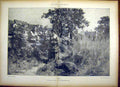 Original Old Antique Print Idyl Lhermitte Farmer Lady Country Fine Art 1885