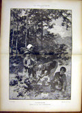 Original Old Antique Print Berries Forest Berry-Picking Lhermitte 1885 19th