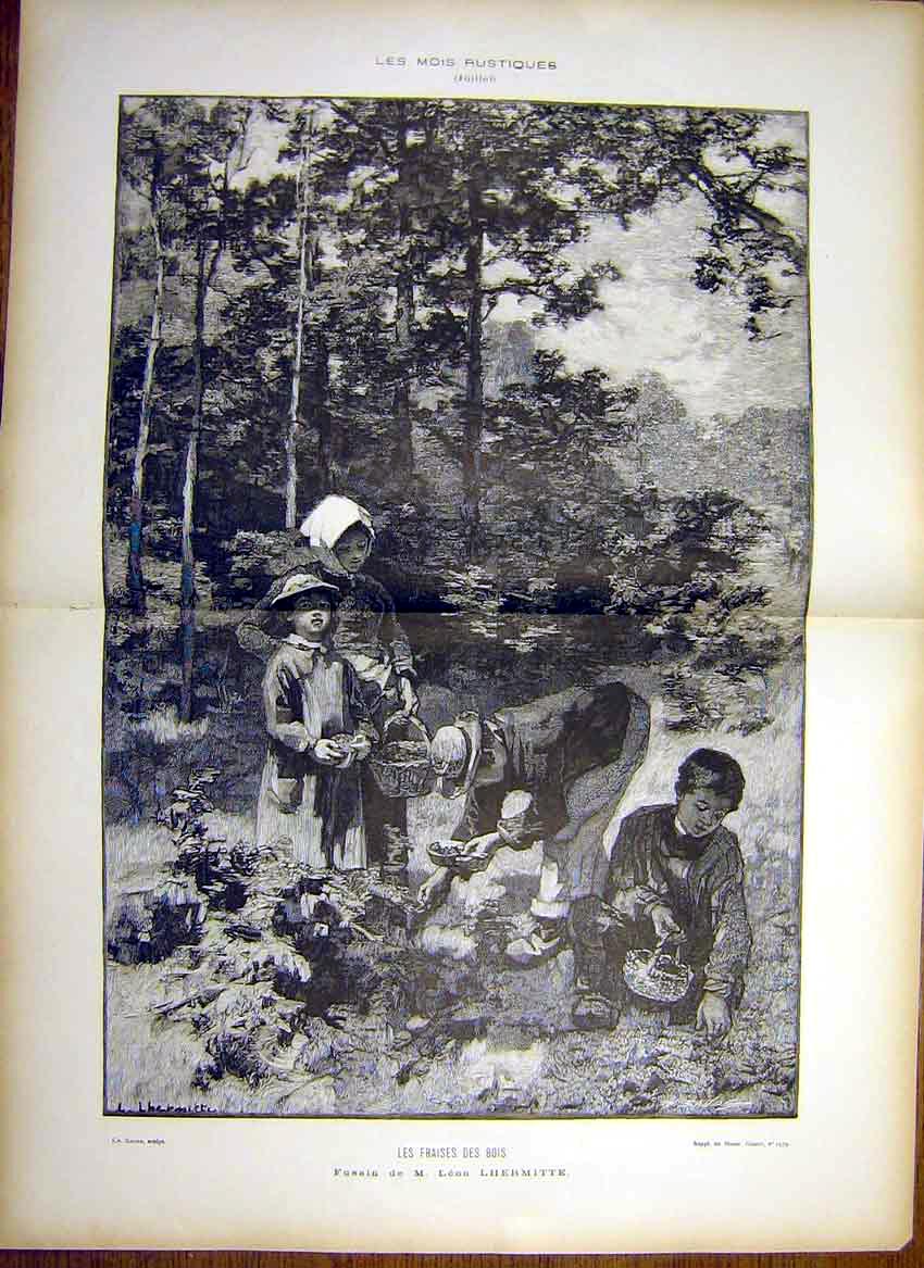 Original Old Antique Print Berries Forest Berry-Picking Lhermitte 1885 19th