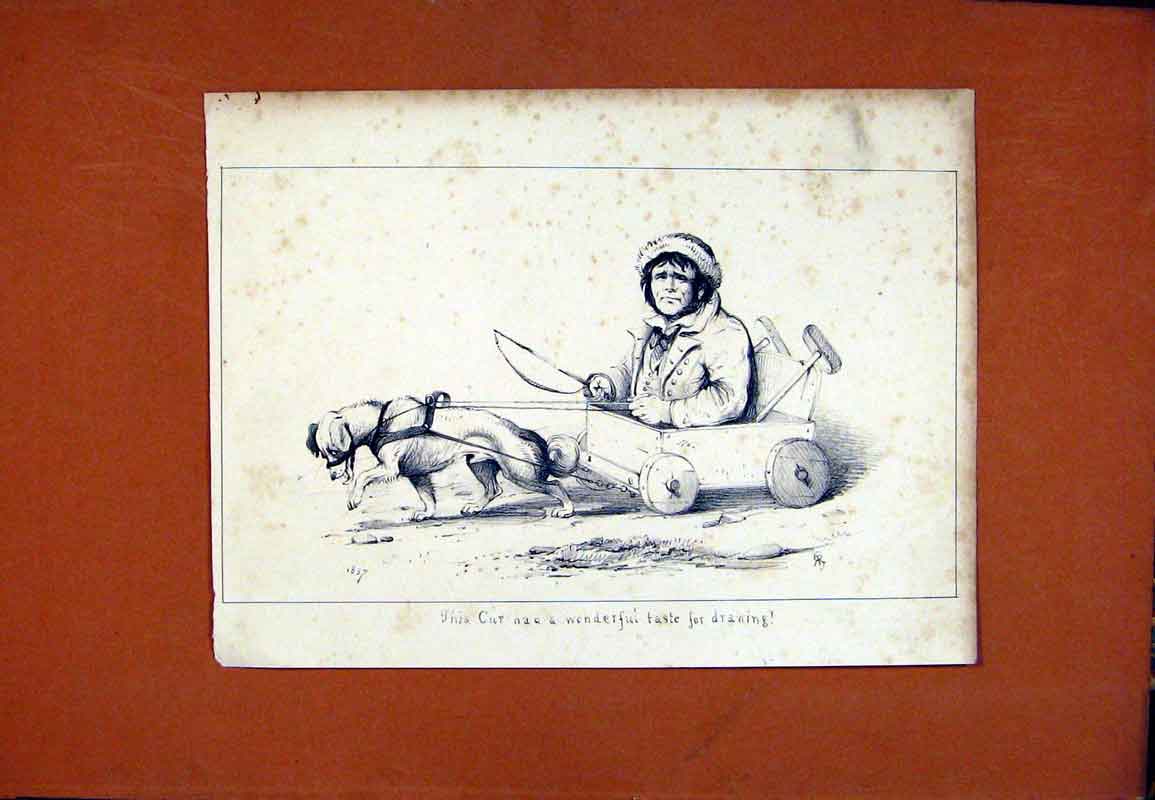 Original Old Antique Print Dgo Cart Hound Pet Animal Sketch Drawing C1831 19th