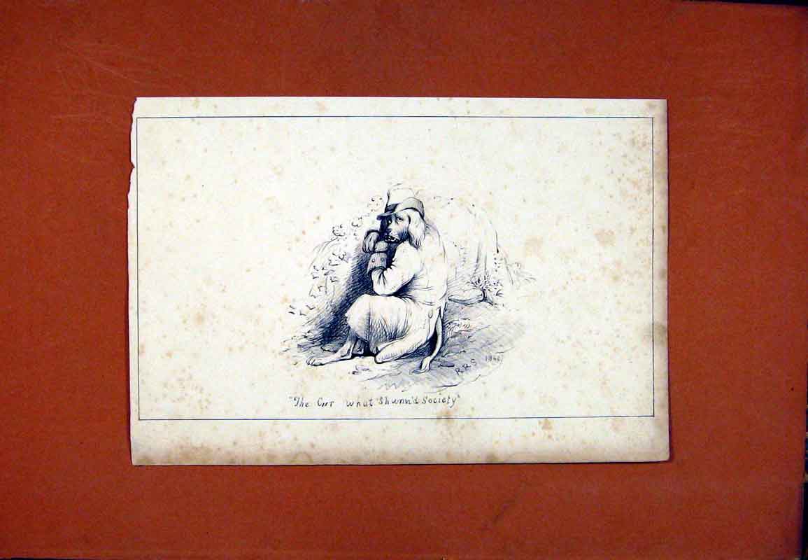 Original Old Antique Print Pet Animal Dog Hound Sketch Drawing Fine Art