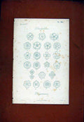 Original Old Antique Print Diagrammes Dicotyledones Botanical C1831 19th Century