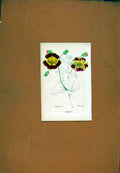 Original Old Antique Print Mimilus Botanical Hand Colored Flower