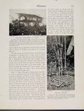 Original Old Antique Print Melanesia Mortuary Platform Fly River Mafulu Graves