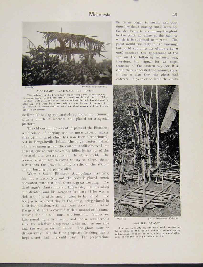 Original Old Antique Print Melanesia Mortuary Platform Fly River Mafulu Graves