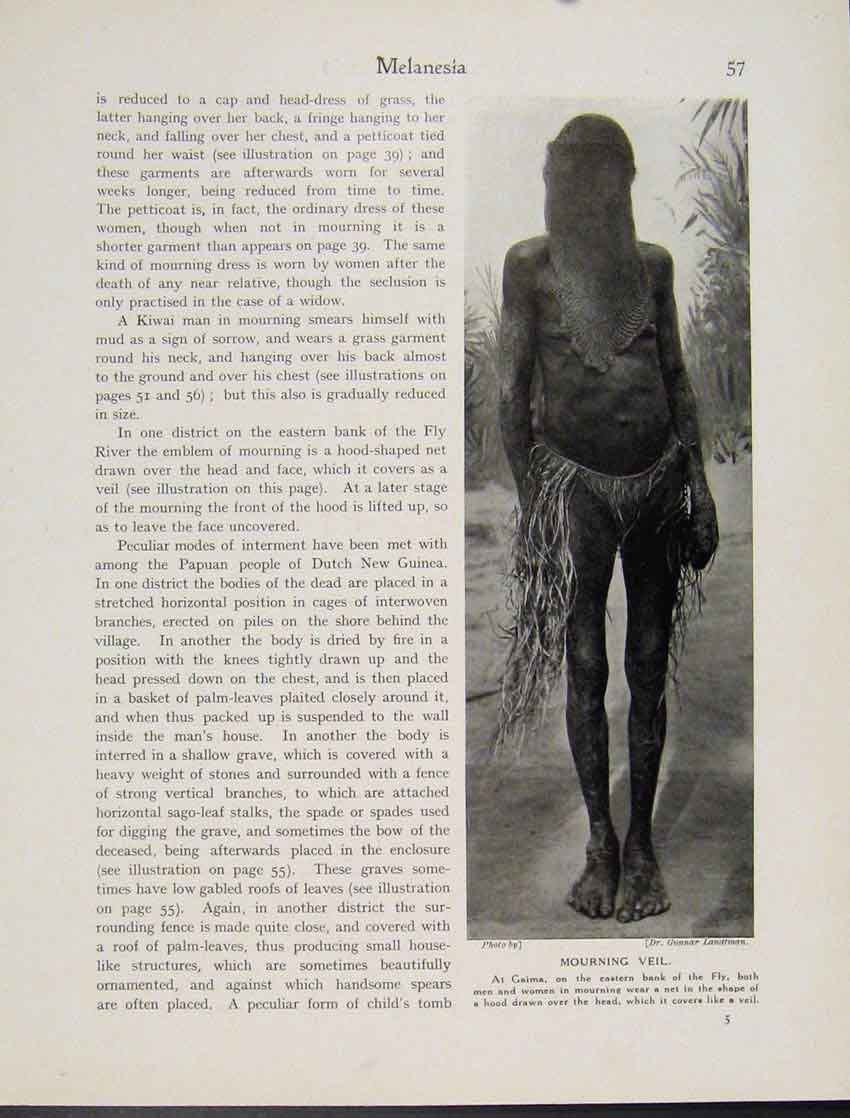 Original Old Vintage Print Mourning Veil Gaima Fly East Melanesia Photo 1931