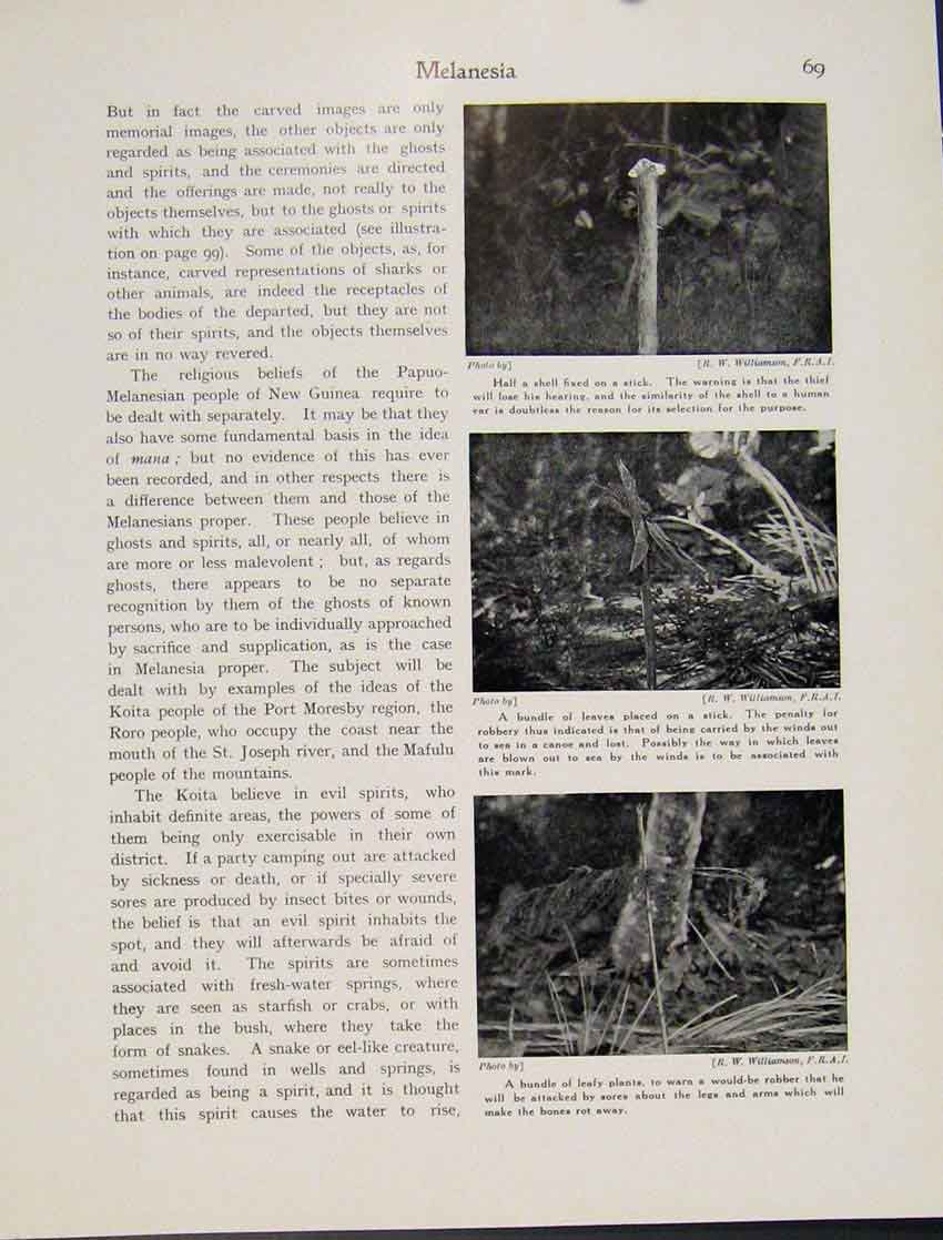 Old Antique Print Melanesia New Guinea Beliefs Shell Stick Bundle Leaves