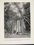 Original Old Vintage Print Rain Shrine Charm Fine Art C1931 20th Century