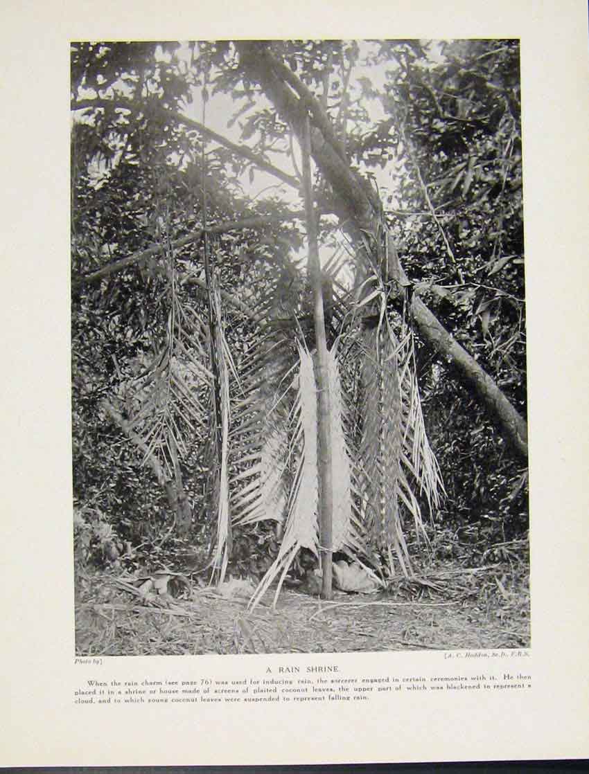 Original Old Vintage Print Rain Shrine Charm Fine Art C1931 20th Century