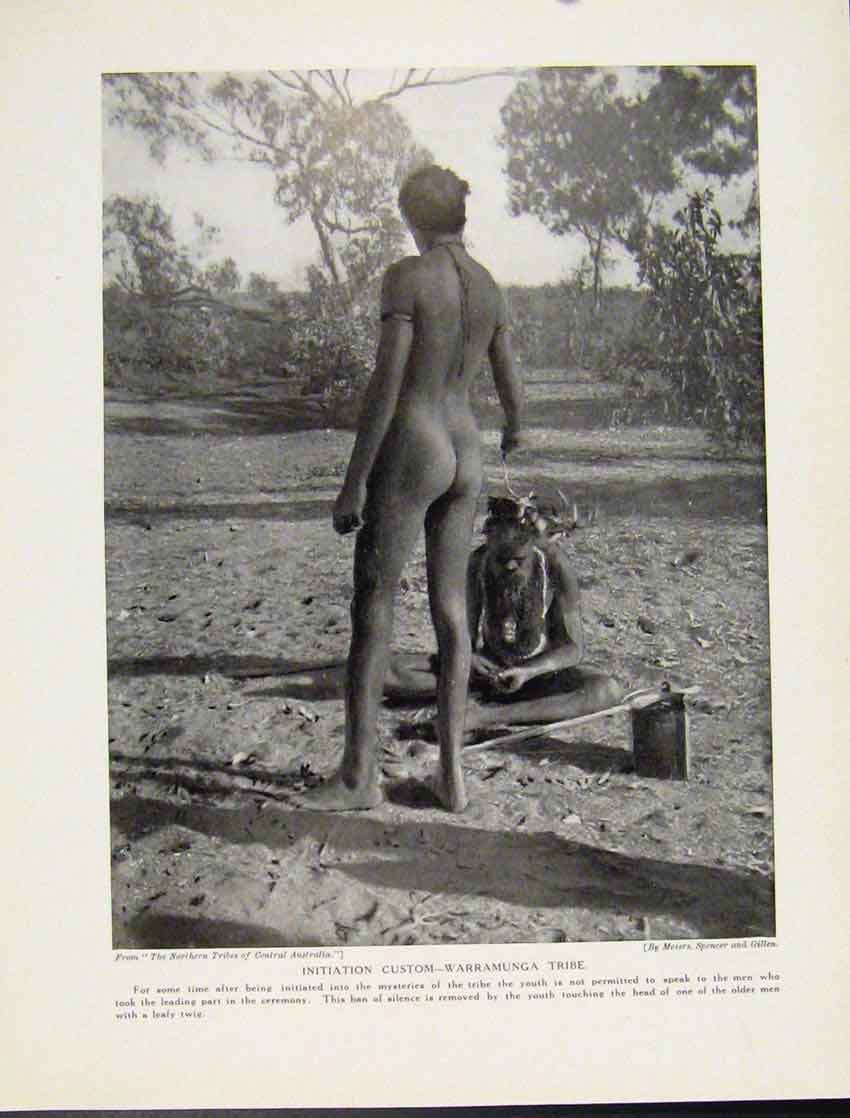 Original Old Vintage Print Initiation Custome Warramunga Tribe Australia C1931