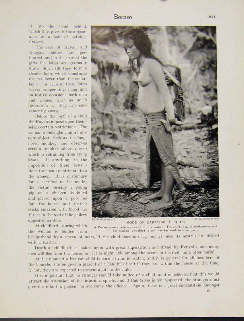 Original Old Antique Print Mode Carrying Child Borneo Borneo
