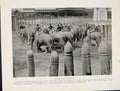 Original Old Vintage Print C1931 Catching Wild Elephants Krall 20th Century