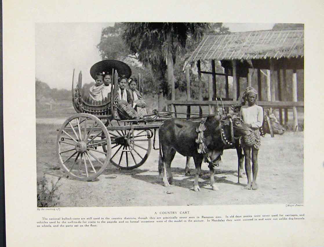 Original Old Vintage Print Country Cart Bullock Rangoon Mandalay 1931 20th
