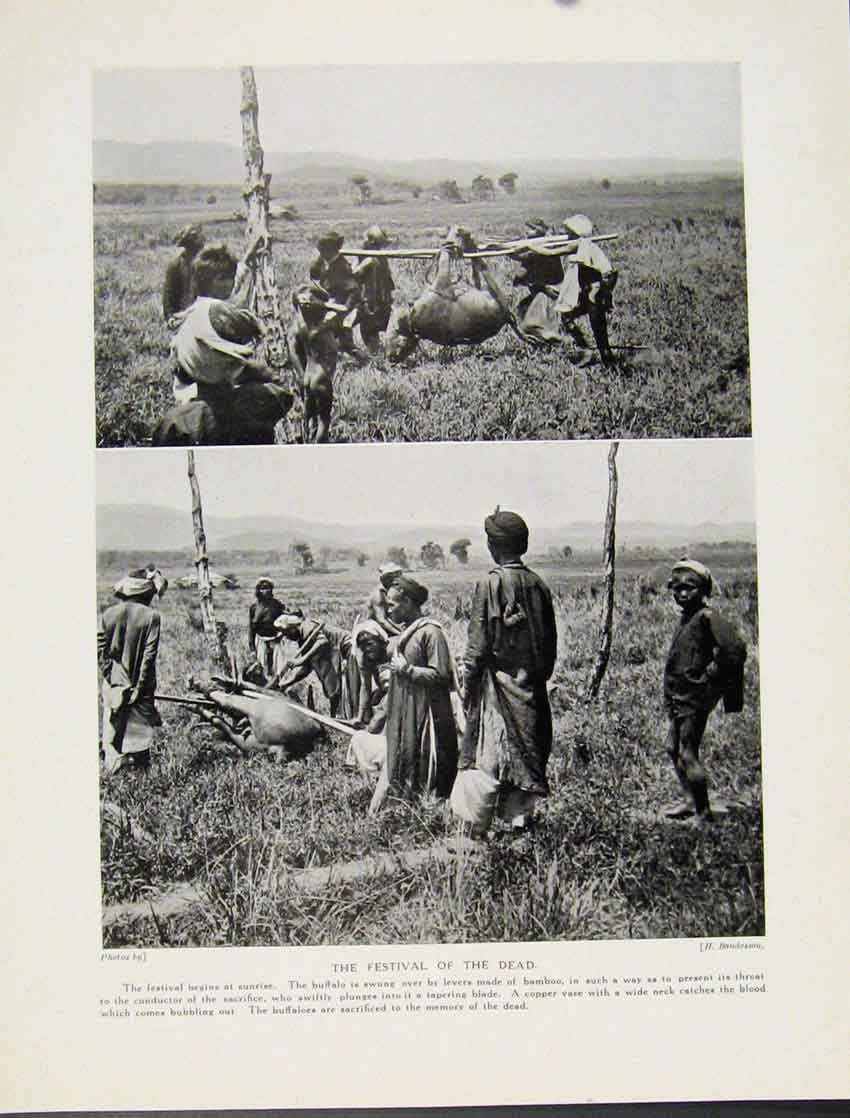Original Old Antique Print Festival Dead Burmese Burman Fine Art Culture Photo