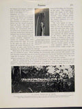 Original Old Vintage Print Atayal Collection Heads Tsalisen Photograph C1931