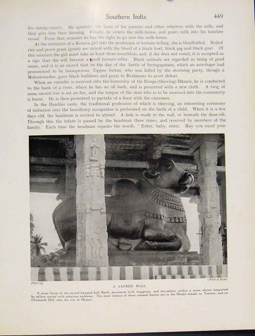 Original Old Antique Print Southern India Sacred Bull Hindu Temple Tanjore Mysor