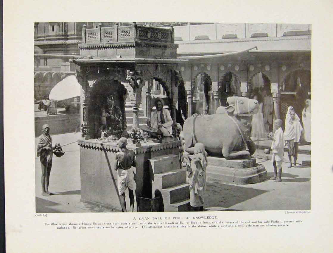 Original Old Vintage Print Gyan Bapi Pool Knowledge Hundy Saiva Nandi Bull C1931