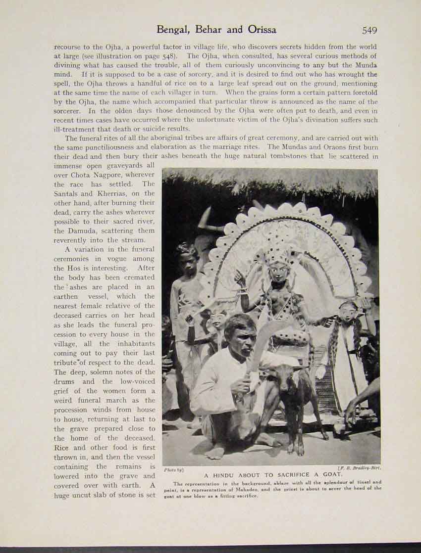 Original Old Antique Print Hindu Sacrifice Goat Bengal Behar Orissa Ed Photo