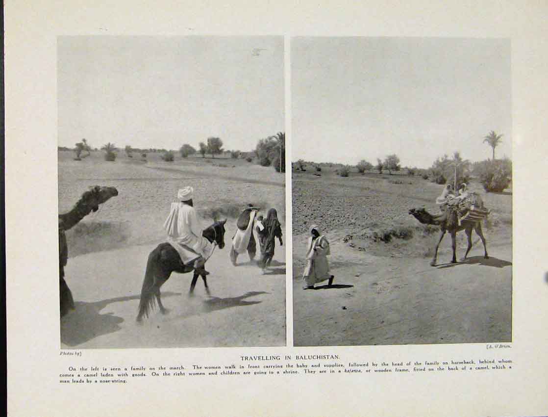 Original Old Antique Print Traveling Bauchistan Photographs