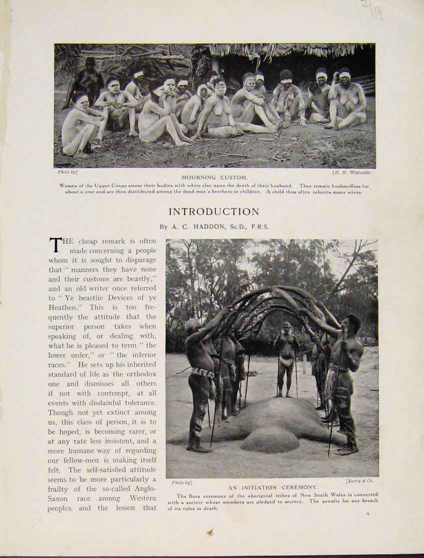 Original Old Antique Print Ceremony New South Wales Bora Mourning Custom Congo