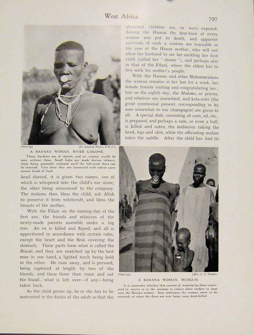 Original Old Antique Print West Africa Banana Woman River Logone Musgum