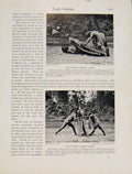 Original Old Antique Print Warau Shield Game Barima River British Guayana
