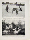 Original Old Vintage Print Finland Sacrifice Ram Vinchjavoi Fine Art 1931 20th