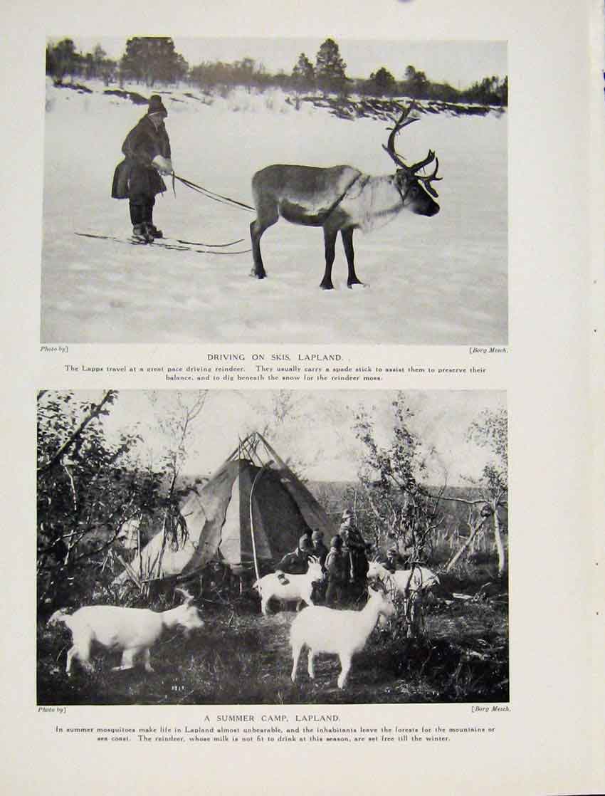 Original Old Vintage Print Finland Sacrifice Ram Vinchjavoi Fine Art 1931 20th