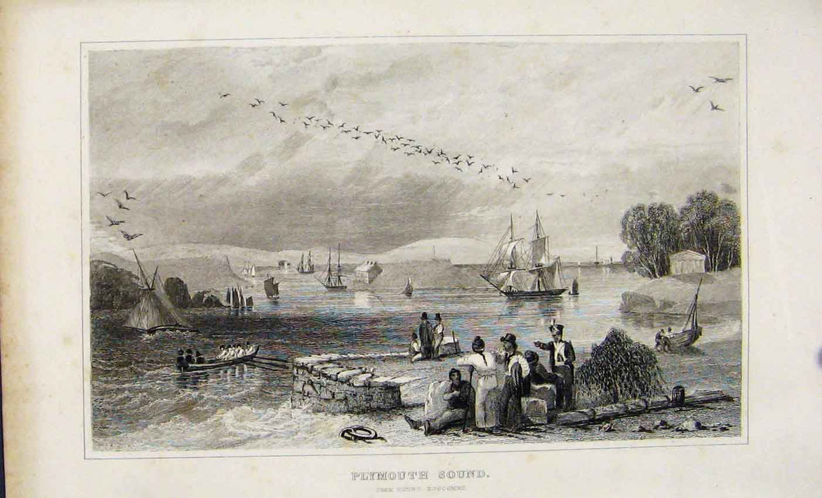 Original Old Antique Print C1845 Dugdale Plymouth Sound And Mount Edgcombe 19th