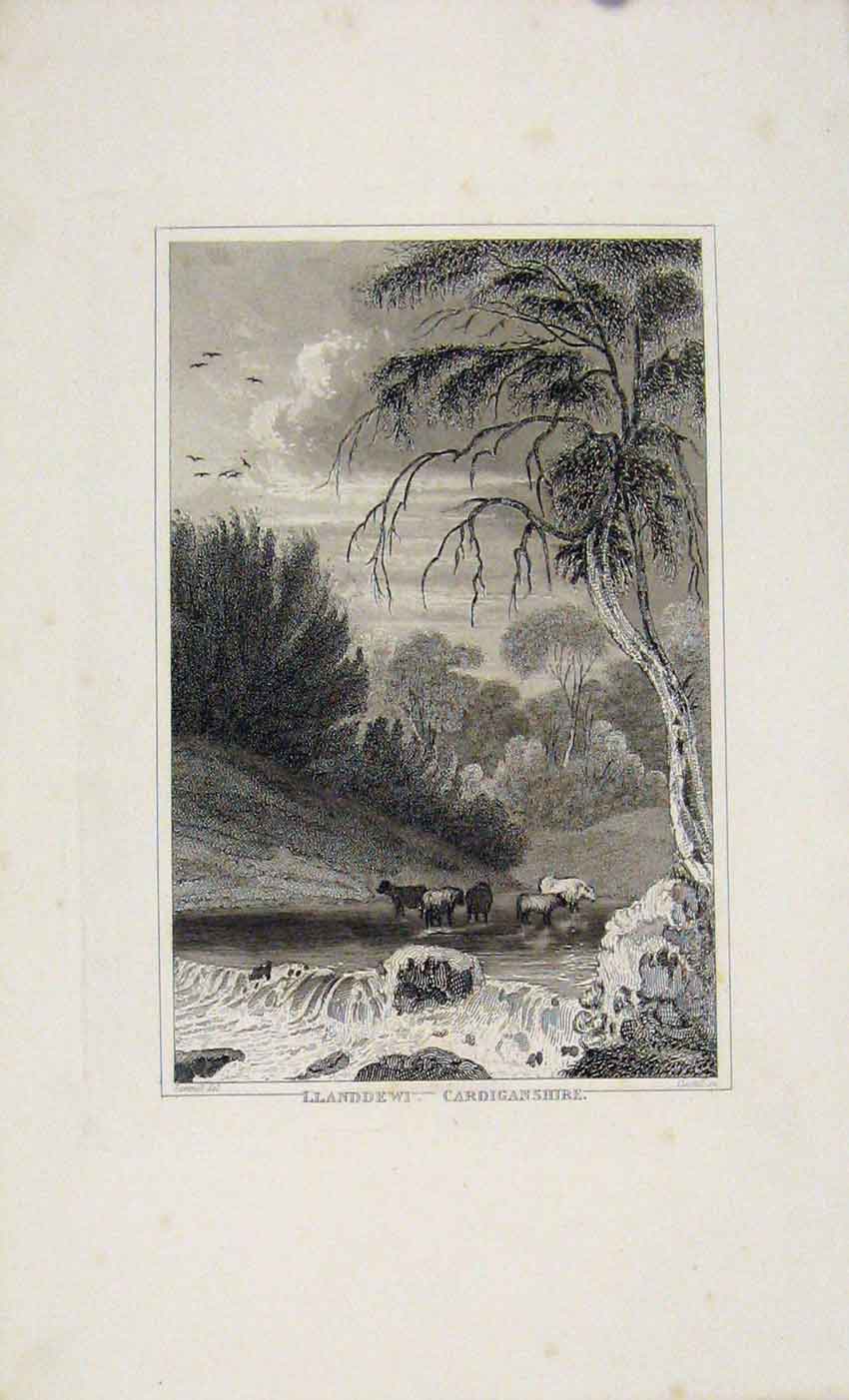 Original Old Antique Print C1845 Dugdale Llanddewi Cardiganshire 19th