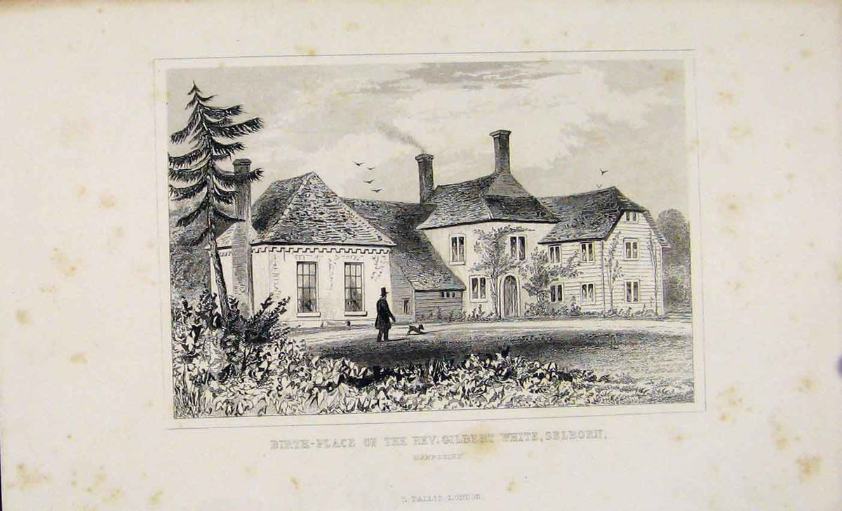 Original Old Antique Print Birth Place Rev Gilbery White Selborn Dugdale C1845
